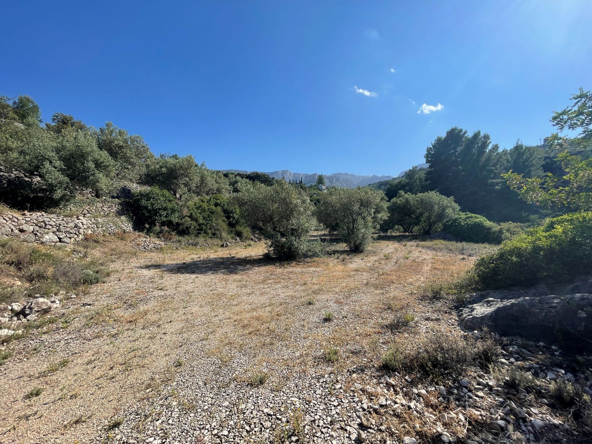 Parcela en Beniardá, venta